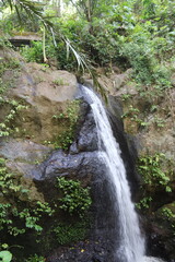 Chute d'eau dans la jungle à Bali, Indonésie	