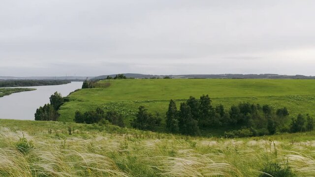 The feather grass sways in the wind on a cliff near the river