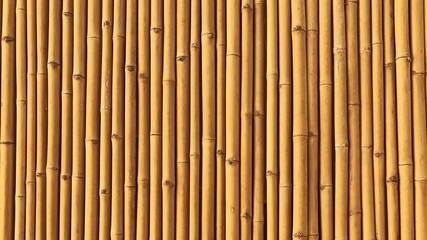 Yellow bamboo fence background panorama.