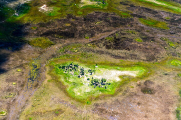It's beautiful aerial view of the Okavango Delta (Okavango Grassland), One of the Seven Natural Wonders of Africa, Botswana