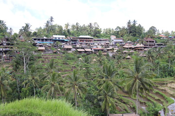 Fototapeta na wymiar Village et rizières à Bali, Indonésie