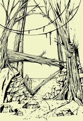 Hand-drawn illustration of a magical forest. Black and white sketch. Book illustration. Coloured graphic arts.