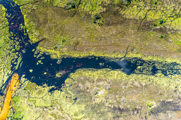 It's Beautiful aerial view of the Okavango Delta (Okavango Grassland), One of the Seven Natural Wonders of Africa, Botswana