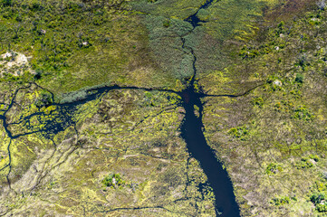 It's Beautiful aerial view of the Okavango Delta (Okavango Grassland), One of the Seven Natural Wonders of Africa, Botswana