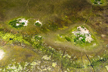 It's Aerial panoramic view of the Okavango Delta (Okavango Grassland), One of the Seven Natural Wonders of Africa, Botswana