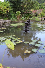 Bassin du palais de Tirta Gangga, Bali, Indonésie	