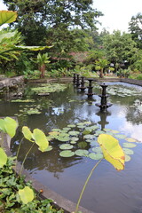 Bassin du palais de Tirta Gangga, Bali, Indonésie	