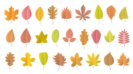Vector set. Autumn leaves of different shapes and colors.