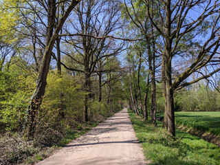 Gravel road around Oosterwijk during spring