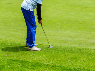 The golfer hits the ball with a putt