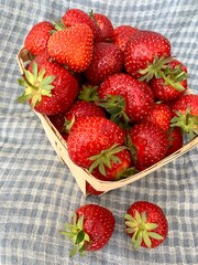 fresh strawberries in a basket