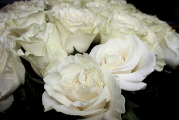 Bouquet of white roses. Close-up of flowers.