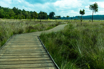 Obraz premium View along the boardwalk.