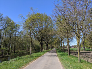Fototapeta na wymiar Road towards Veldhoek in Gelderland during spring