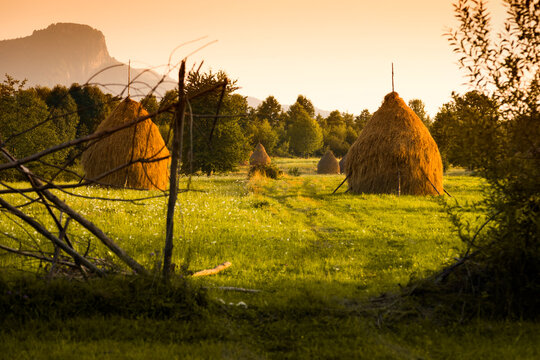 Haystacks in Maramures Romania