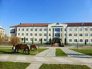 Fototapeta na wymiar Horses in front of the clinic in the village of Uchkeken