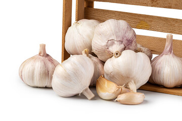 Garlic on white background