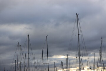 boats in the harbor