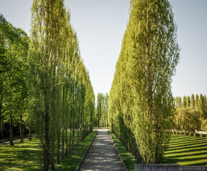 Künstlicher Waldweg