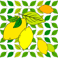 Seamless pattern with drawn lemons. Tropical summer citrus fruit engraved style background. Vector illustration for web design or print.