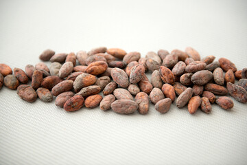 Cocoa Beans on the background Closeup
