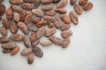 Cocoa Beans on the background Closeup