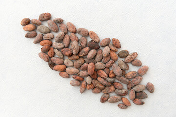 Cocoa Beans on the background Closeup
