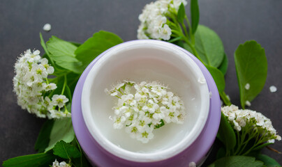 Close up of lilac jar with white cream of delicate texture, inside which-white flowers. Spirea twigs with flowers and green leaves are lying around. Dark background