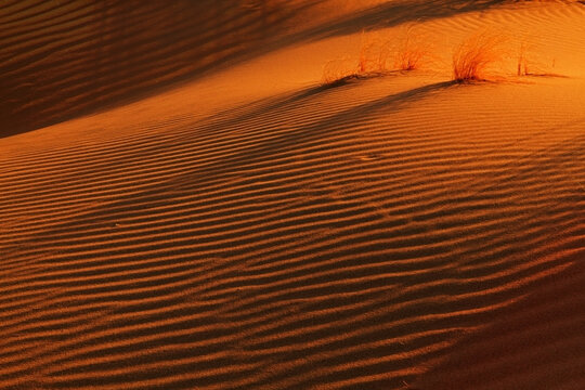 Shadows and patterns in Singing Dunes, Kazakhstan