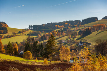 Sunny day in village Jimramovske Paseky autumn forest, fields and meadow in bright yellow. Afternoon sunbeams Warm sun light in countryside of Bohemian Moravina Highlands Vysocina, Czech Republic.