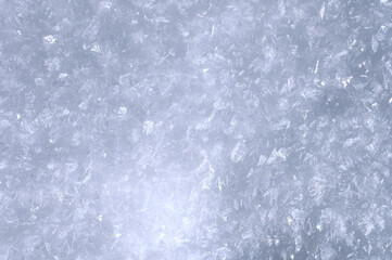 Winter background texture of the grislasts of frosty snow. Background for postcards and publications on New Year's topics