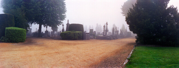panoramic view on a graveyard with morning fog with old tombstones and nobody there and grass and trees in autumn