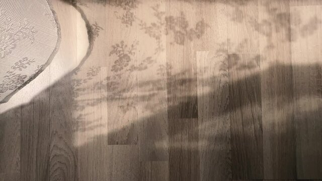 a curtain decorated with white lace which, moved by the light breeze, casts its shadow on a parquet floor. Domestic life. Calm scene. 