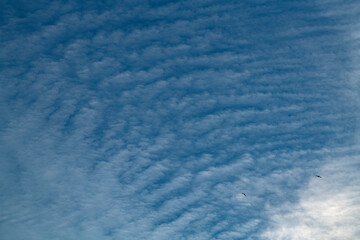 Cirrocumulus Wolkengebilde