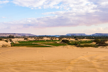 It's Beautiful nature of the Bahariya Oasis in Egypt
