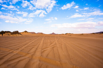 Fototapeta na wymiar It's Beautiful nature of the Bahariya Oasis in Egypt