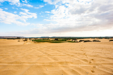 It's Bahariya Oasis, Egypt