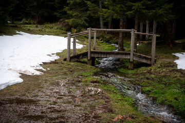 A wooden bridge on a creek in a forest
