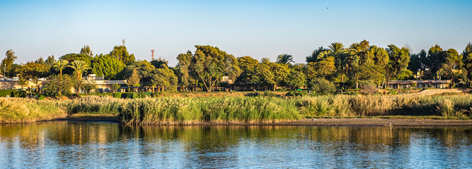 It's Coast and nature on the coast of the Nile rive in Egypt