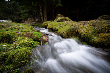 A creek in the middle of a forest during fall and winter season