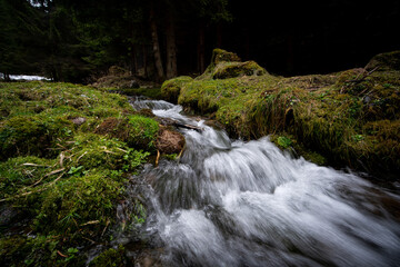 A creek in the middle of a forest during fall and winter season