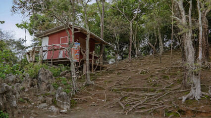 Drewniany domek na wzgórzu w lesie na korzeniach w Tajlandii w Azji - obrazy, fototapety, plakaty