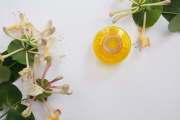 Lonicera caprifolium, honeysuckle flower essential oil (remedy, extract) jar isolated white. top...