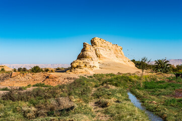 Fototapeta na wymiar It's Nature in the Dakhla Oasis, Western Desert, Egypt