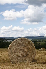 bales of hay