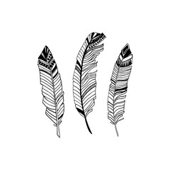 Realistic detailed feathers set, hand drawn vector illustration, black ink graphic isolated on white . Art decorative element for prints, cards, pattern, tattoo design.