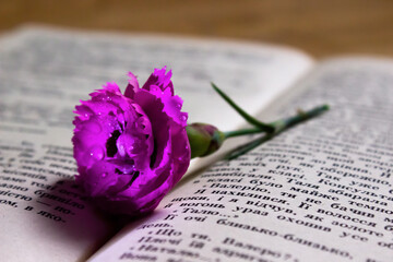 Flower on the book