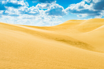 Plakat It's Spectacular view of the Sahara desert, Egypt