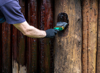 Male hand with a paint brush. paints a log wall of a country house. Treatment of wood logs, protective soil, oil on wood.