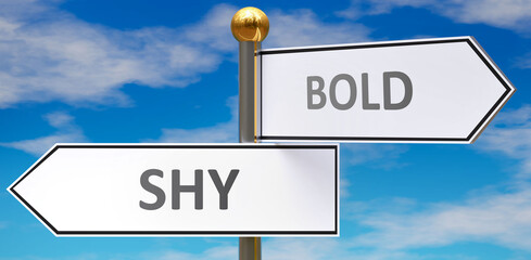 Shy and bold as different choices in life - pictured as words Shy, bold on road signs pointing at opposite ways to show that these are alternative options., 3d illustration